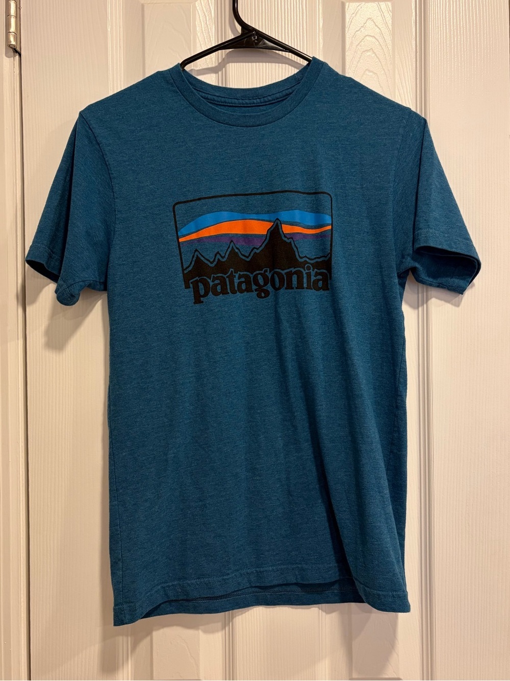 Men's/Unisex Patagonia Organic Cotton Blend Tee Teal Horizon Size XS
